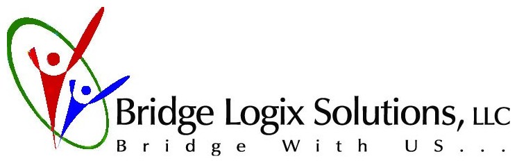 Bridge Logix Solutions
